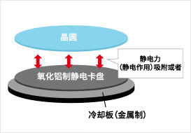 静电卡盘